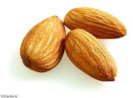 بادام سنگی مرغوب + فروش عمده